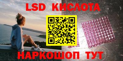 молекула духа Кингисепп