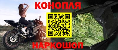 jwh Кинель