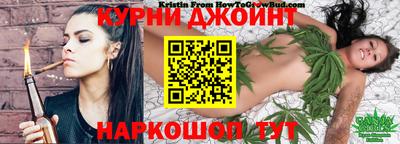 молекула духа Кингисепп
