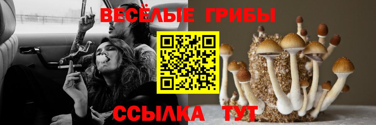 Галлюциногенные грибы мухоморы Юрга